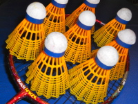 Racquet/Birds