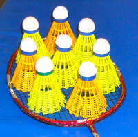 SBA Mini-Tournament